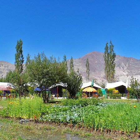 Hotel Tiger Camp Nubra Extérieur photo