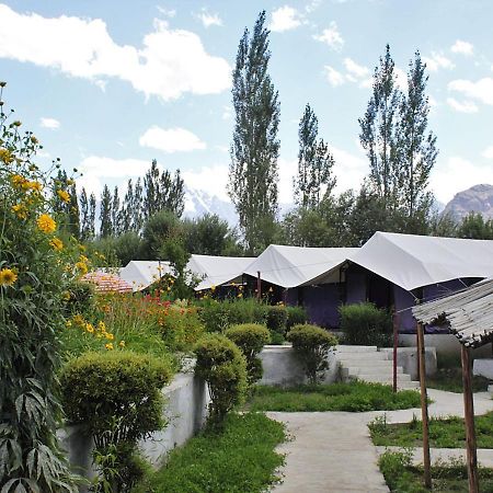 Hotel Tiger Camp Nubra Extérieur photo