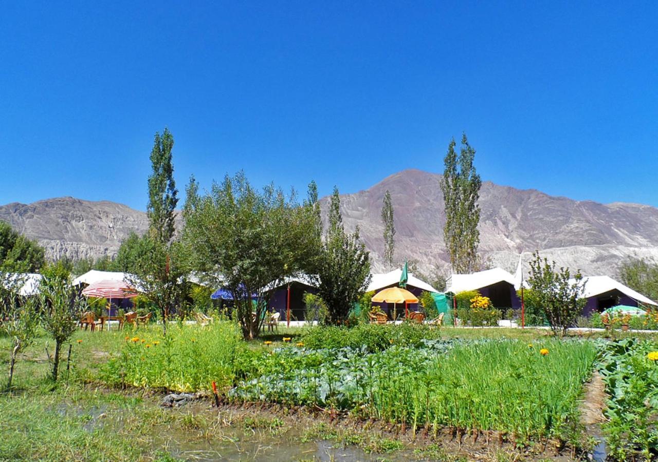 Hotel Tiger Camp Nubra Extérieur photo