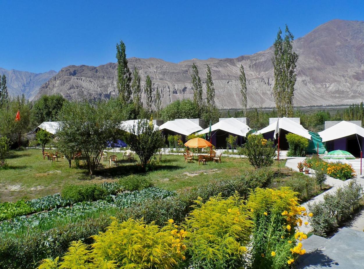 Hotel Tiger Camp Nubra Extérieur photo