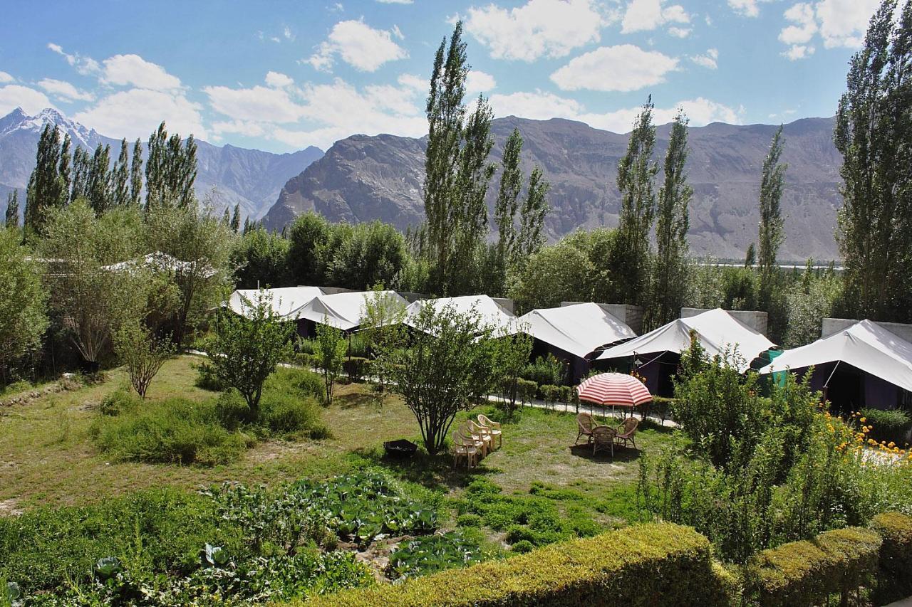 Hotel Tiger Camp Nubra Extérieur photo