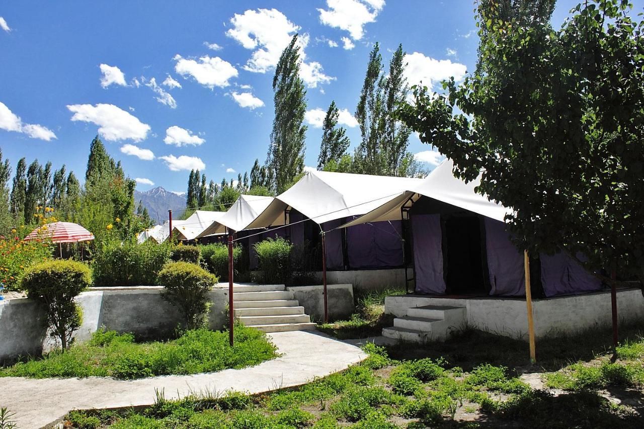 Hotel Tiger Camp Nubra Extérieur photo